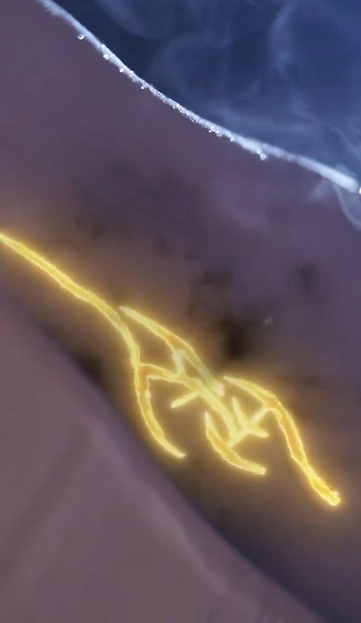 缘来仙妻就是你