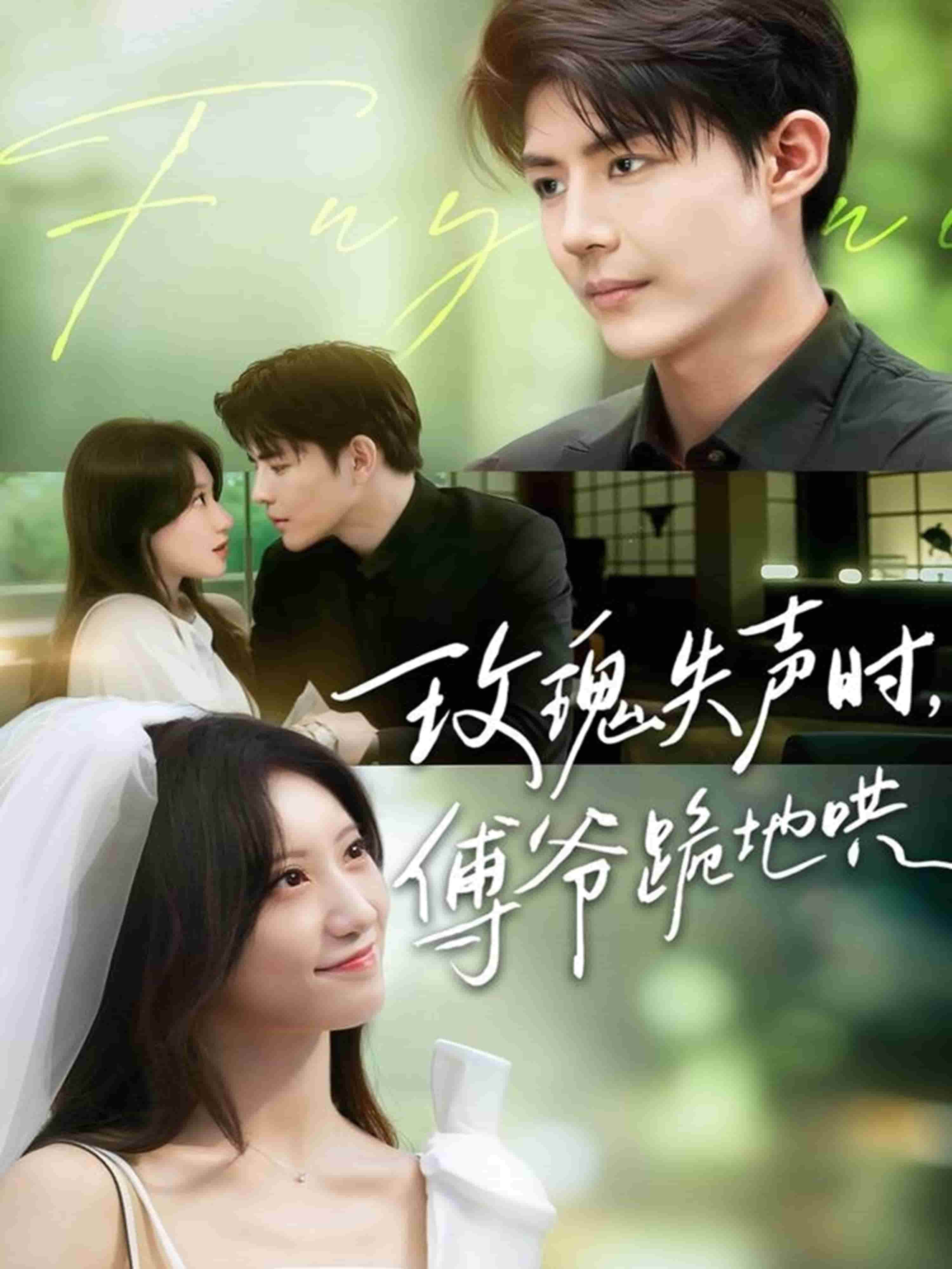 玫瑰失声时傅爷跪地哄