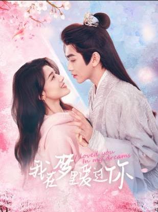 我在梦里爱过你